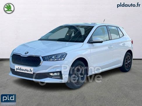 Photo de skoda fabia (1)