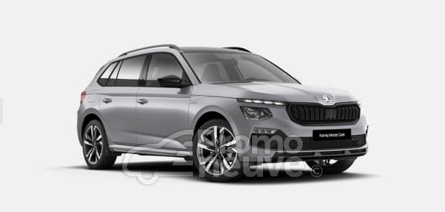 Photo de skoda kamiq (1)