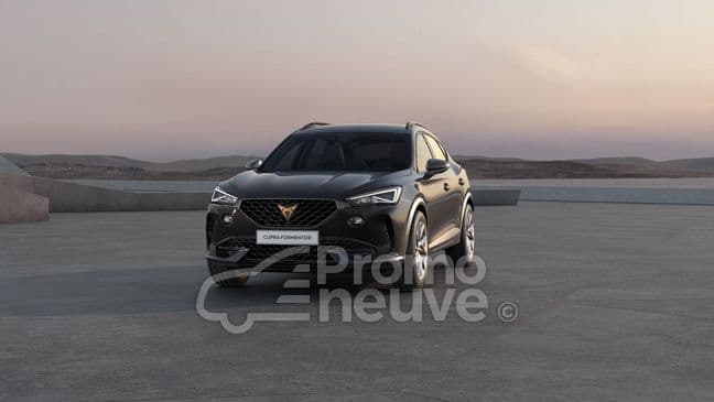 Photo de cupra formentor (1)