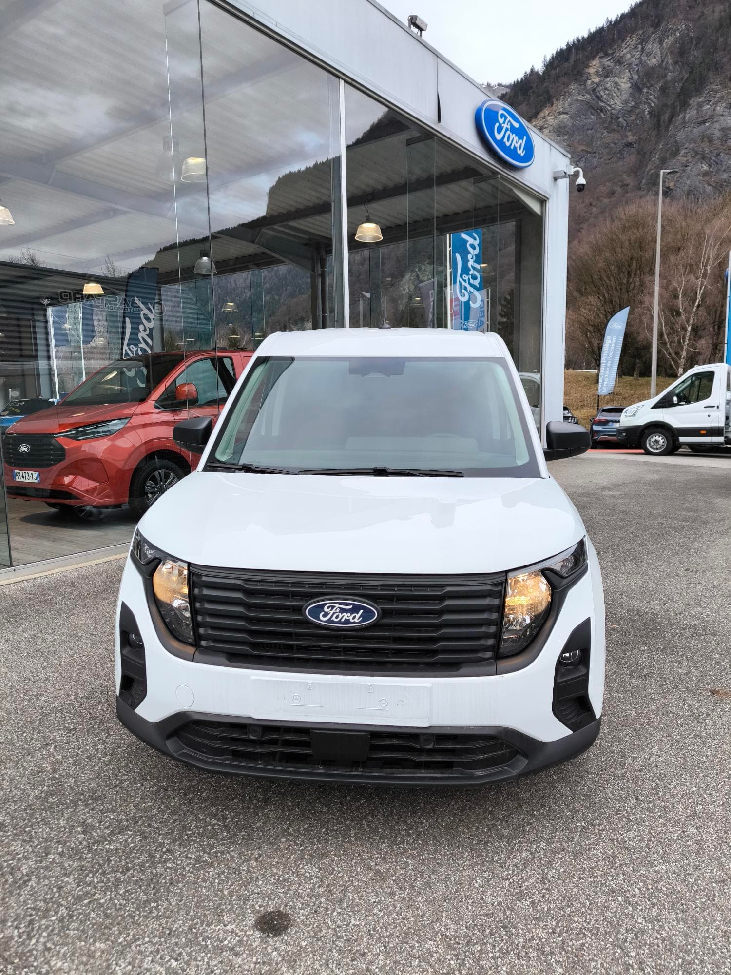 Photo de ford transit courier (1)