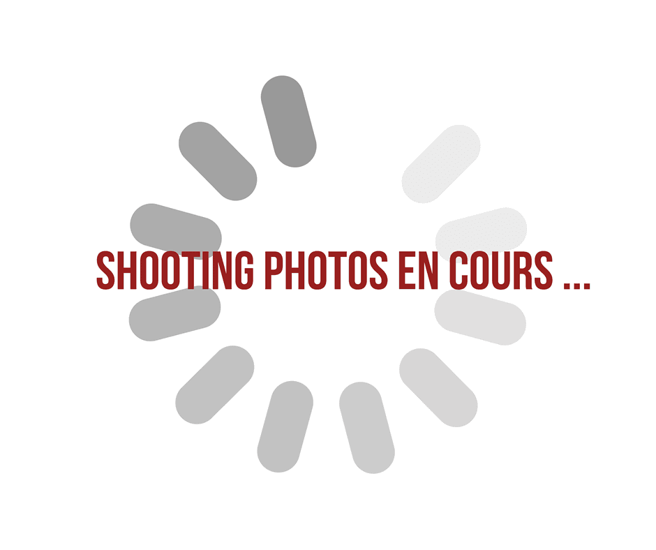 Photo de renault austral (1)