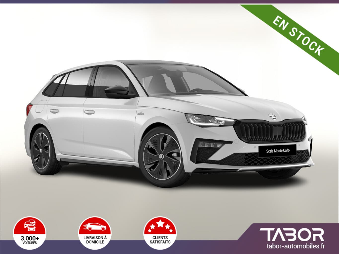 Photo de skoda scala (1)