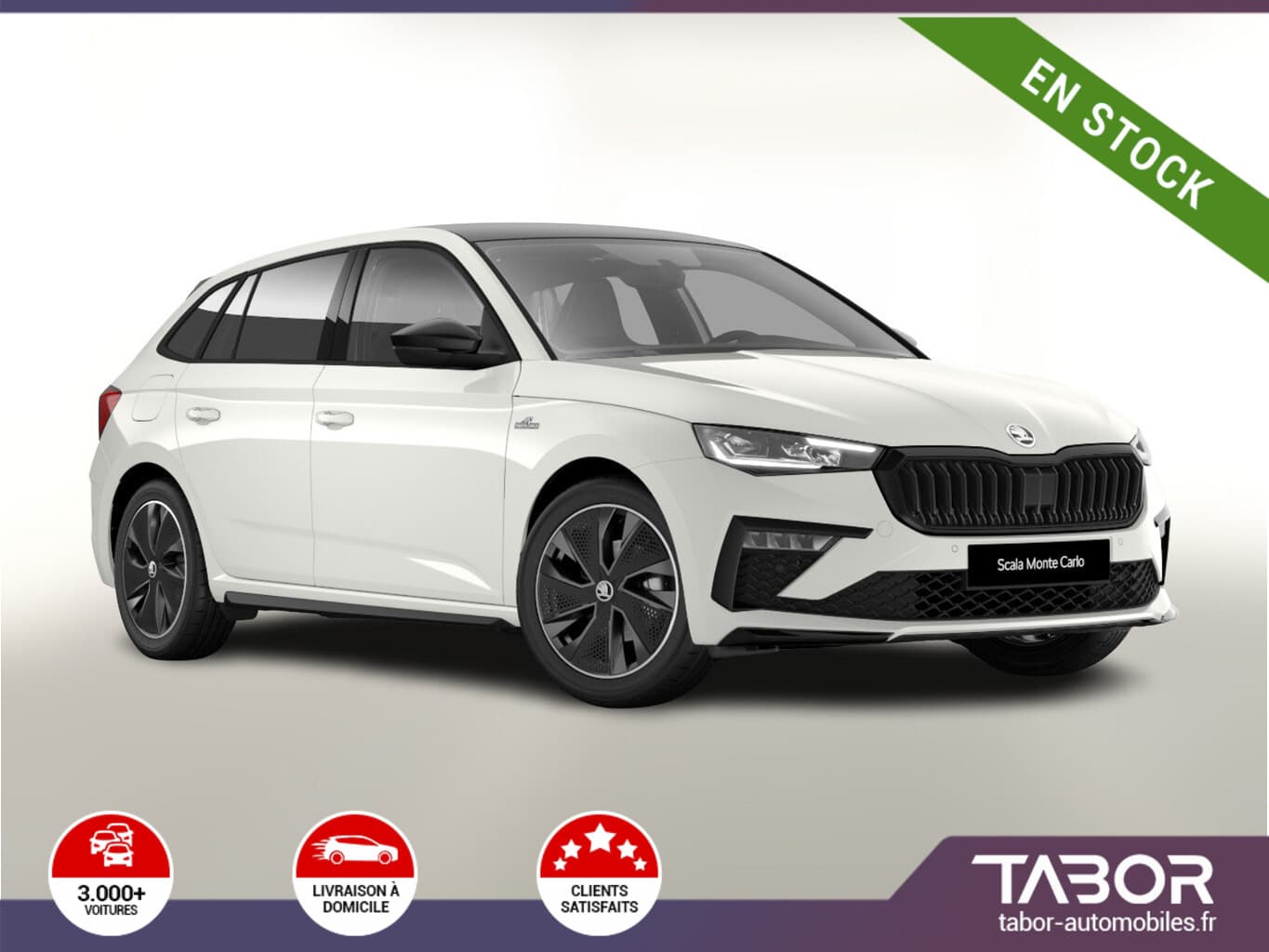 Photo de skoda scala (1)