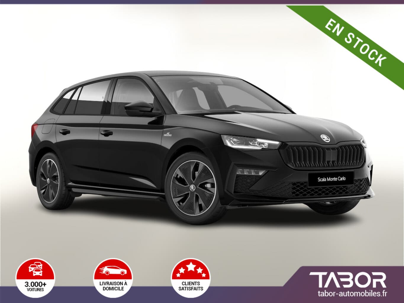 Photo de skoda scala (1)