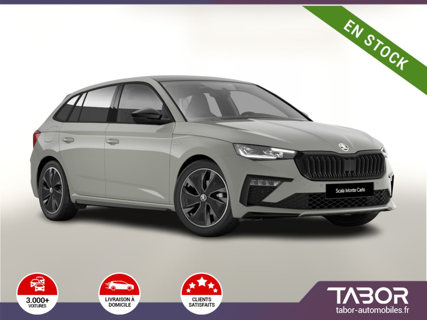Photo de skoda scala (1)