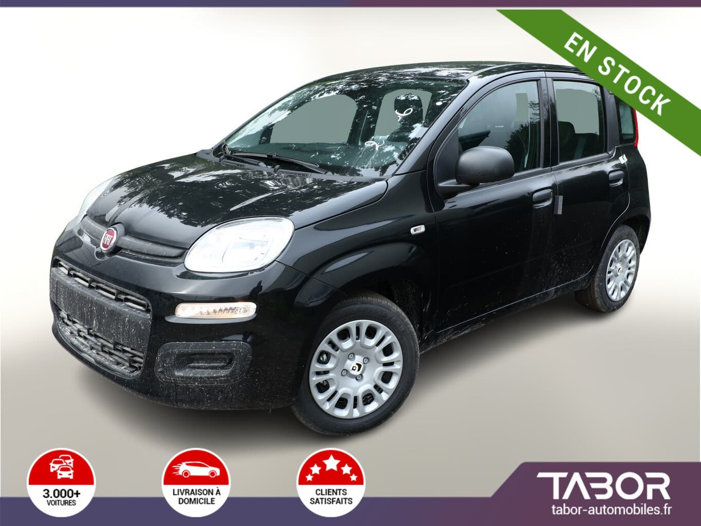 Photo de fiat panda (1)