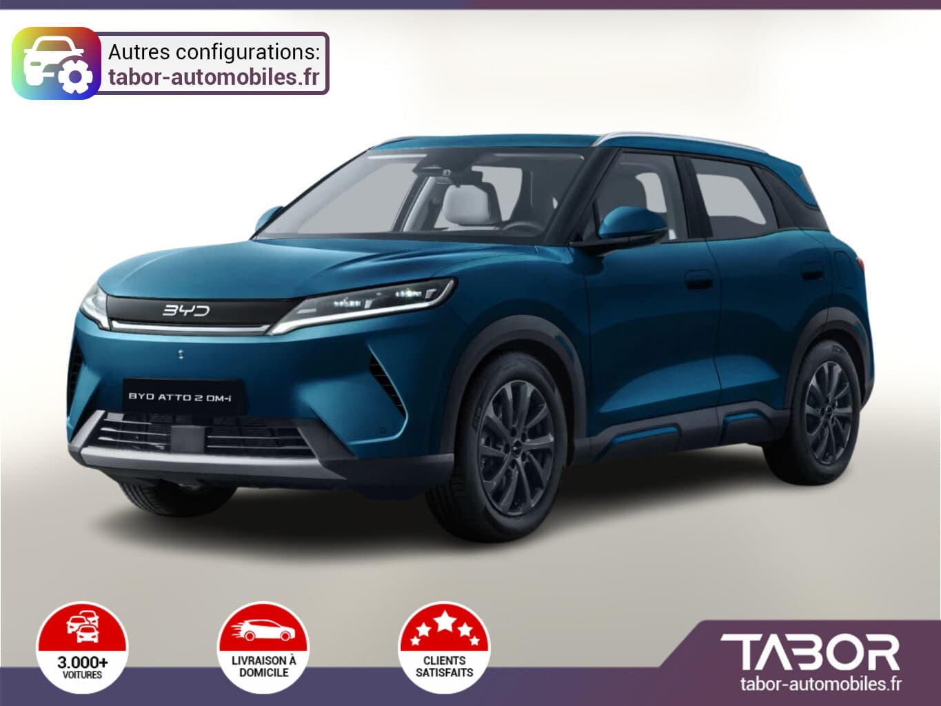 Photo de byd atto 2 (1)