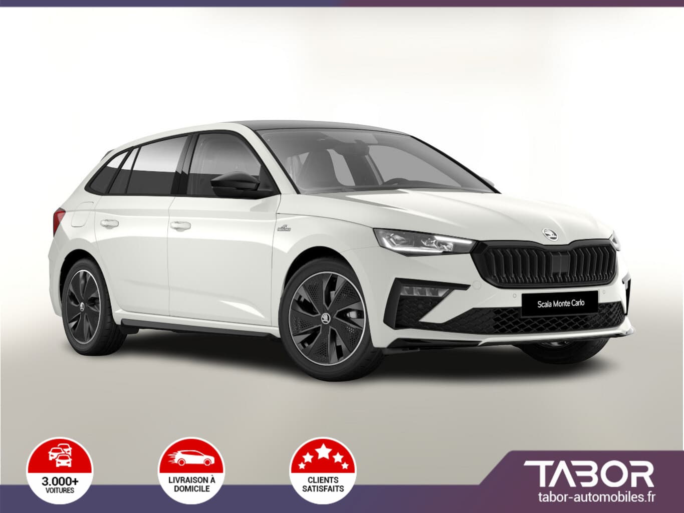 Photo de skoda scala (1)