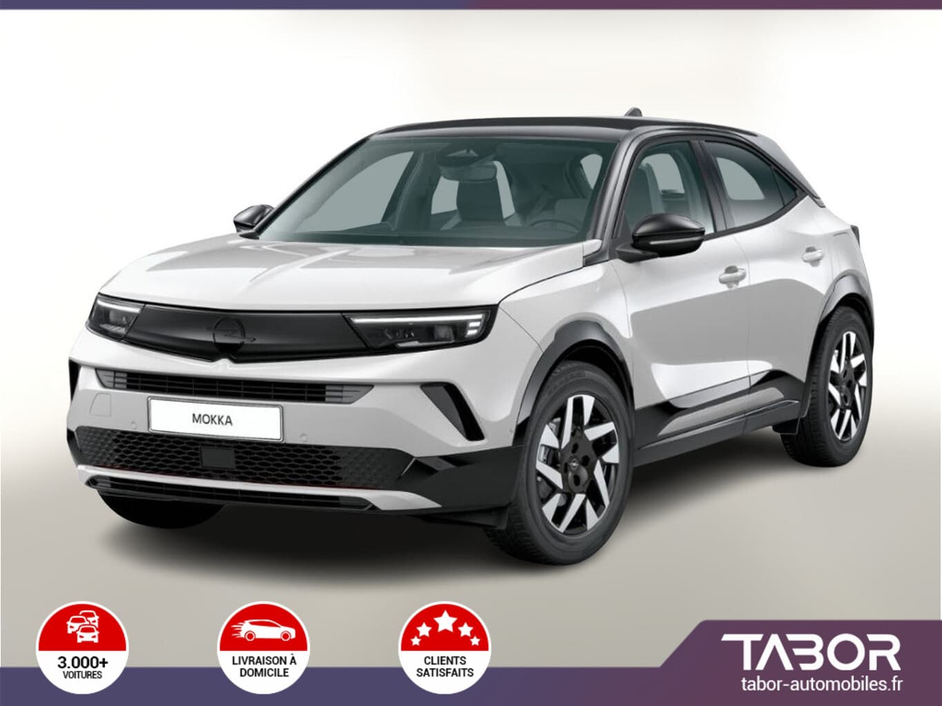 Photo de opel mokka (1)