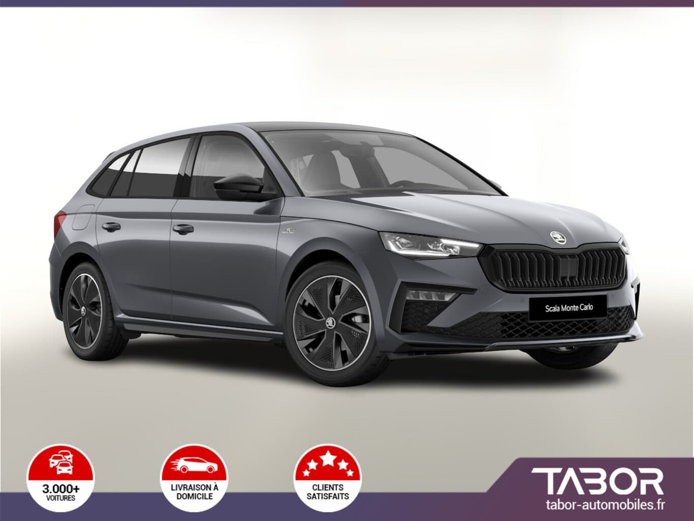 Photo de skoda scala (1)