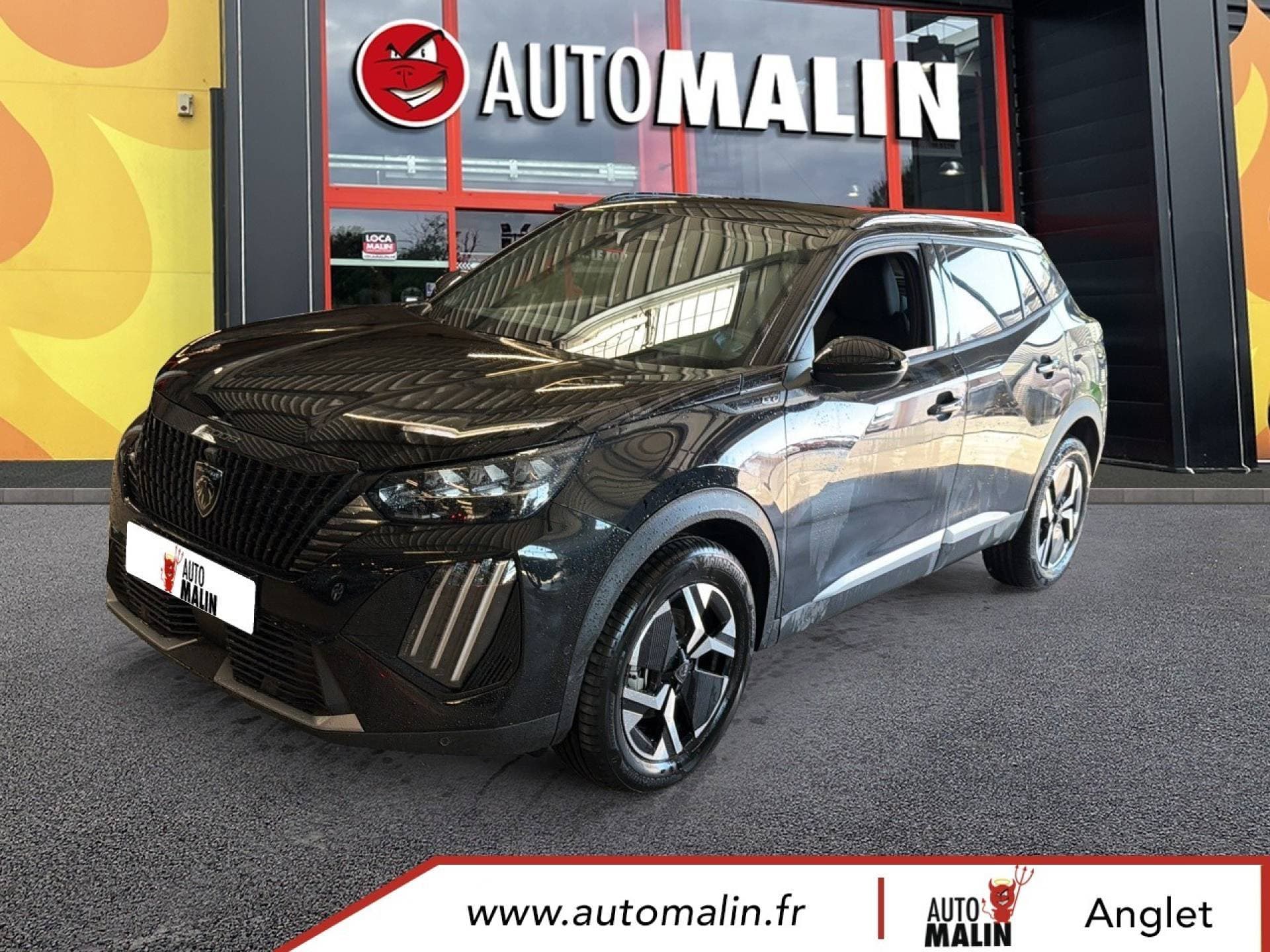 Photo de peugeot 2008 (1)
