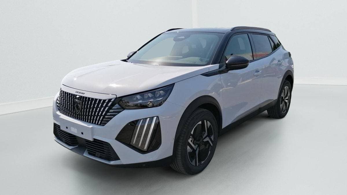 Photo de peugeot 2008 (1)