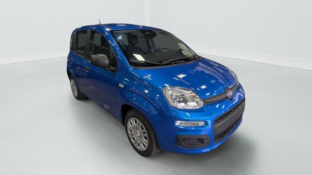 Photo de fiat panda (1)