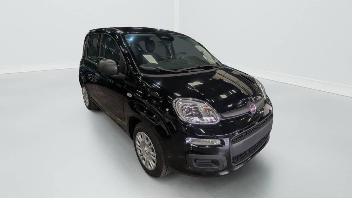 Photo de fiat panda (1)