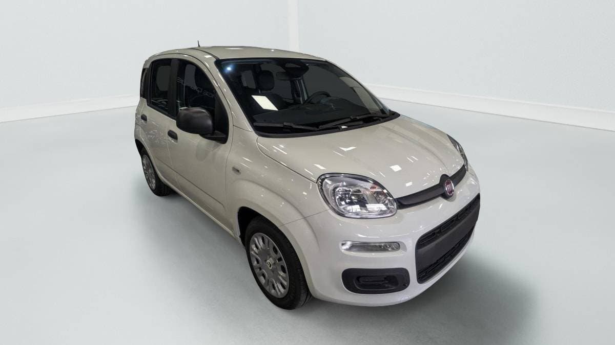 Photo de fiat panda (1)