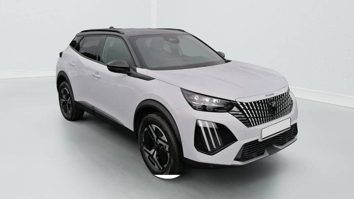 Photo de peugeot 2008 (1)