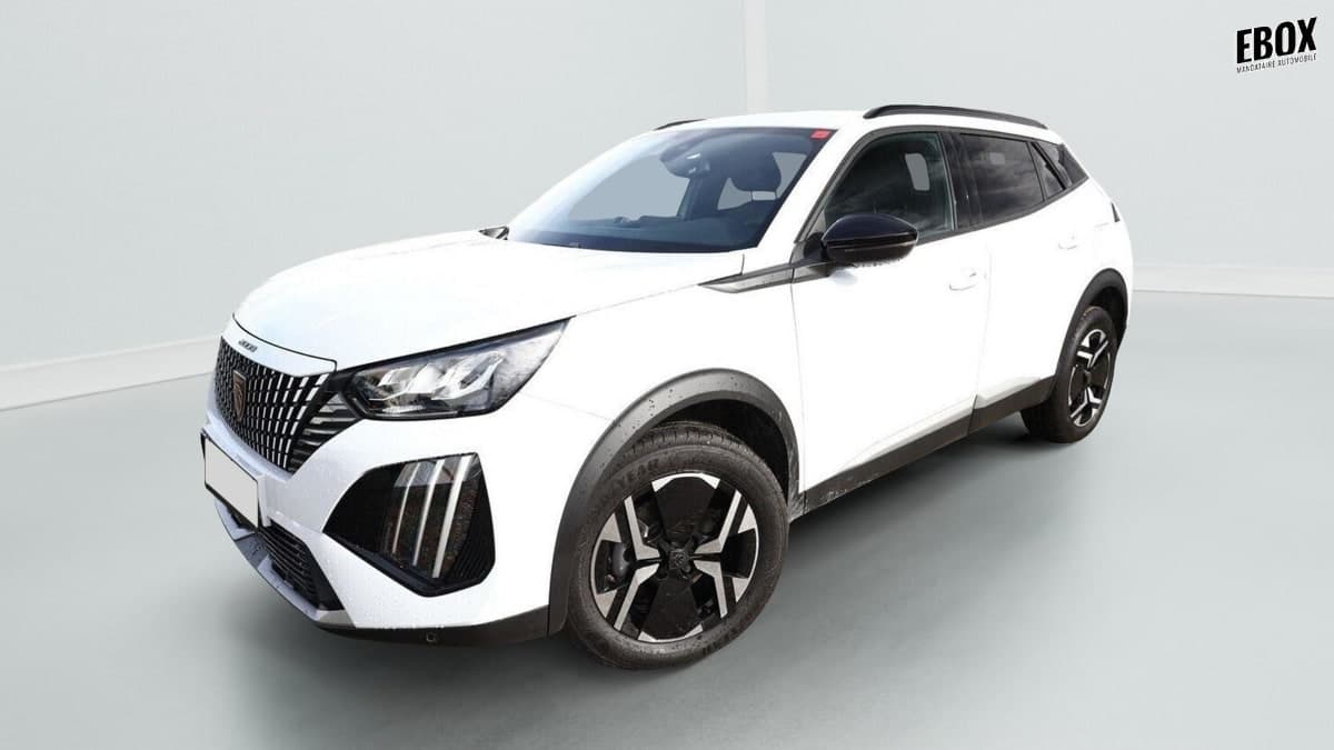 Photo de peugeot 2008 (1)