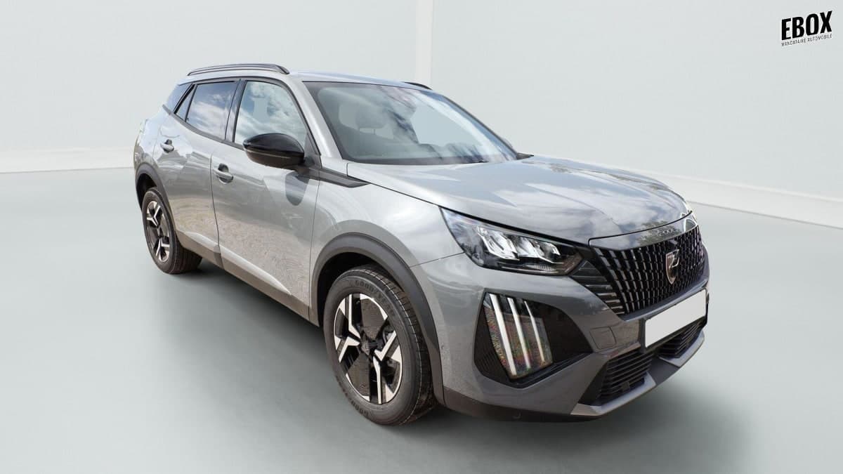 Photo de peugeot 2008 (1)