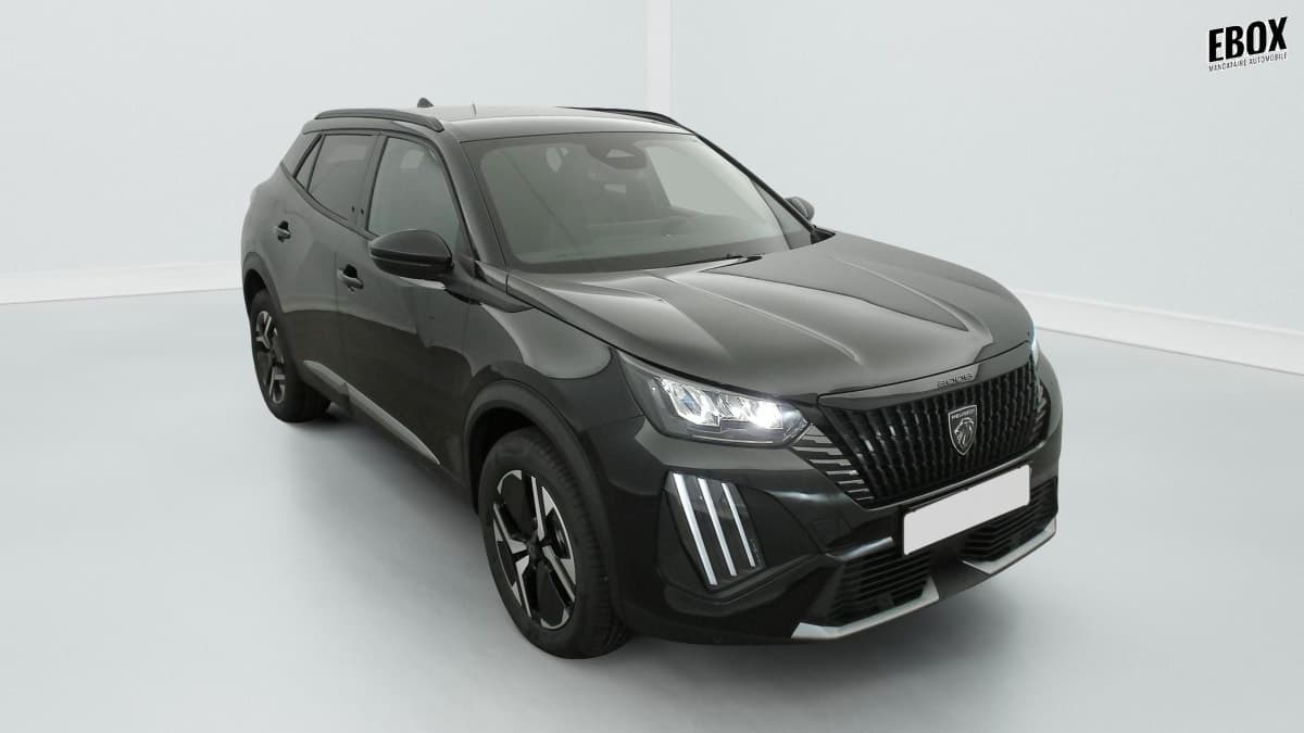 Photo de peugeot 2008 (1)