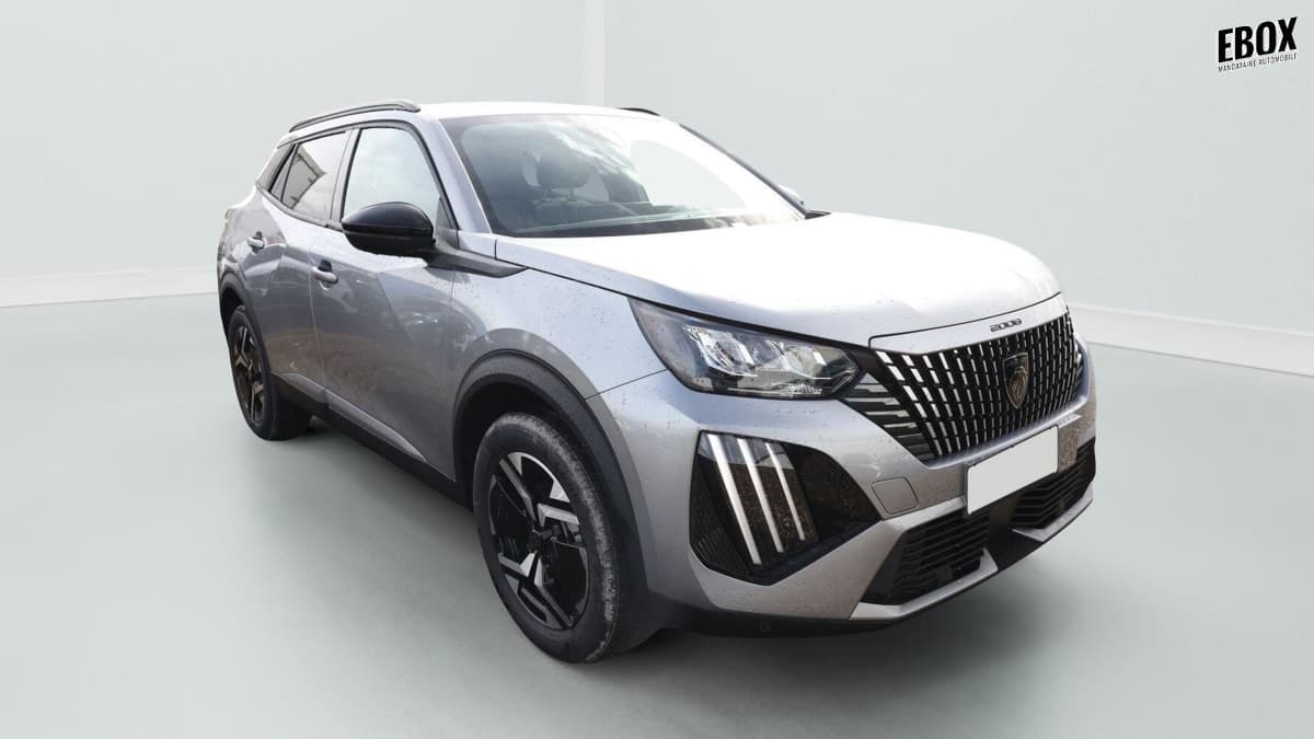 Photo de peugeot 2008 (1)