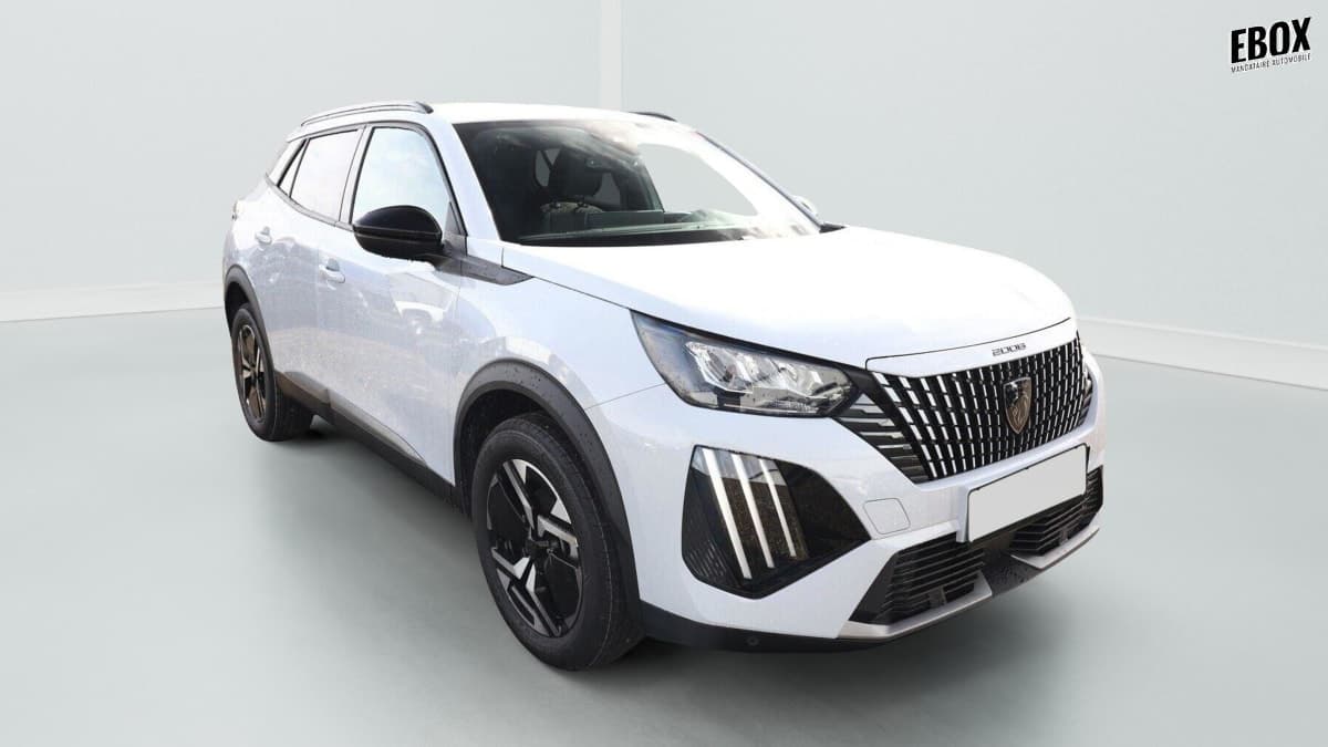 Photo de peugeot 2008 (1)