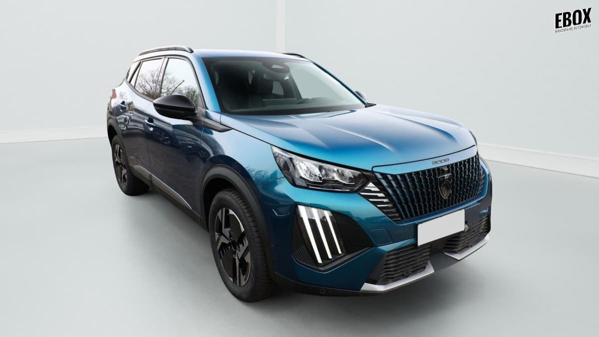 Photo de peugeot 2008 (1)