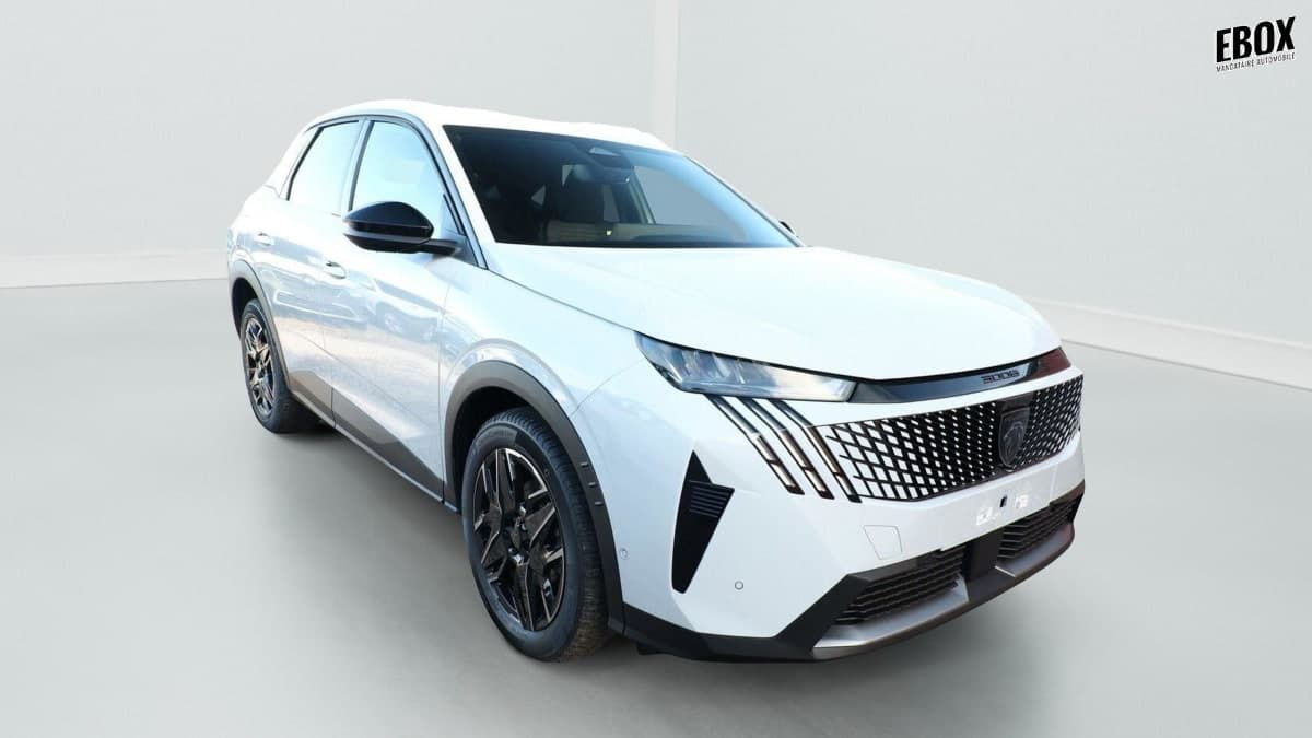 Photo de peugeot 3008 (1)