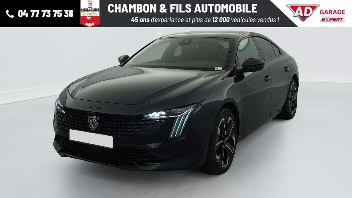 Photo de peugeot 508 (1)