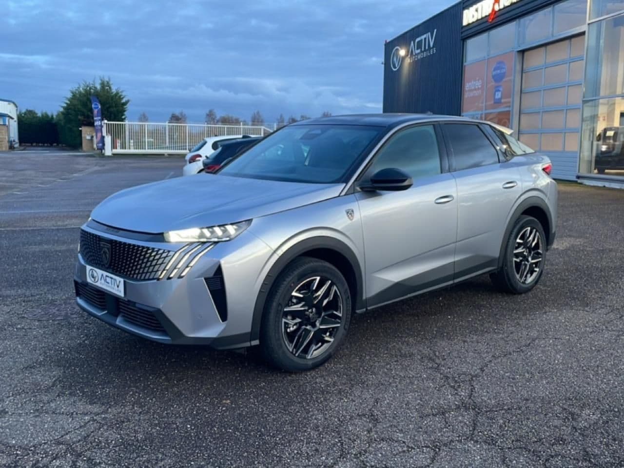 Photo de peugeot 3008 (1)